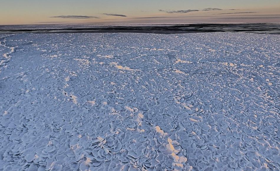 Polynjas sind Bereiche offenen Wassers umgeben von Meereis. Sie sind âEisfabrikenâ, die durch starke Winde aus dem Inneren der Antarktis zehnmal mehr Meereis produzieren als durchschnittlich. Frisch geformtes Eis wird stÃ¤ndig beiseitegeschoben neues Meereis gebildet. (Bild: IMAS)