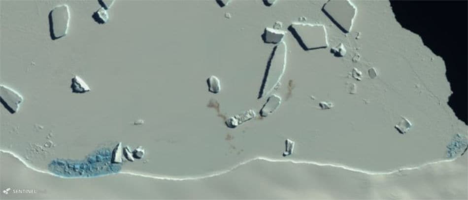 Die rotbraunen Guano-Flecken auf dem Eis zeigen die Existenz einer Kaiserpinguinkolonie. Bild vom Copernicus Sentinel-2 Satelliten der EuropÃ¤ischen Kommission (Bild via BAS)