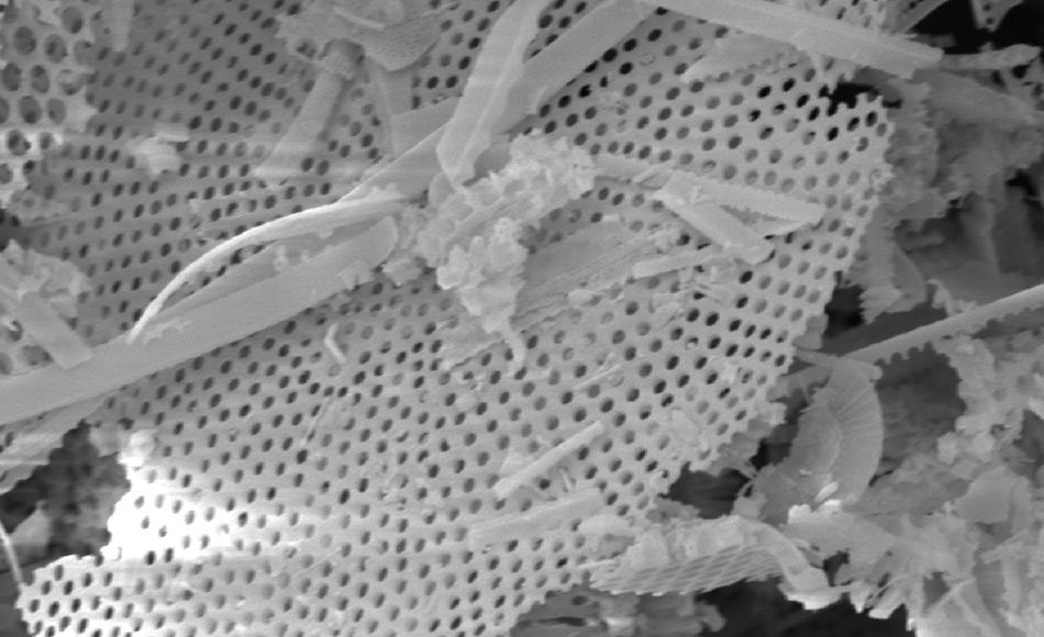 Eine mehr als 3000 Mal vergrößerte Elektronen-Mikroskop Aufnahme der kieselalgenreichen Sedimente zeigt die feinen Strukturen, die den Transport als Staub mit dem Wind förderten. Bild: Reed Scherer, Northern Illinois University.