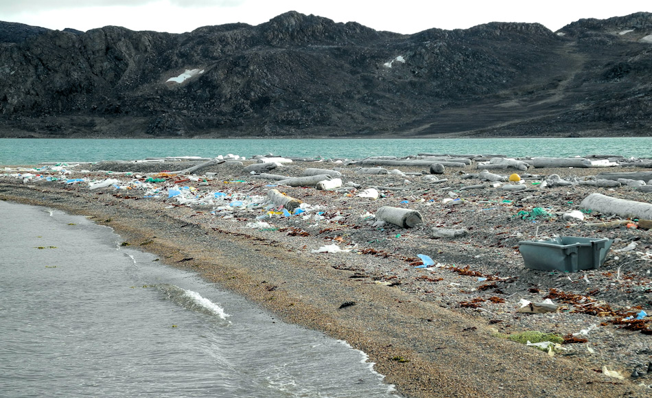 Plastikverschmutzung wird als eine dringendsten Umweltprobleme weltweit betrachtet, auch in der Arktis. Die AECO hat nun entschieden, der UN-Kampagne Â«Clean SeasÂ» beizutreten, die Anstrengungen bei Strandreinigungen zu verstÃ¤rken und will seine Mitglieder ermuntern, von EinwegplastikgegenstÃ¤nden auf den Schiffen abzusehen. Bild: Sysselmannen