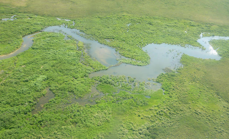 Die flachen Tundragebiete im Beringmeer sind im Sommer von Flüssen und kleinen Seen durchzogen,