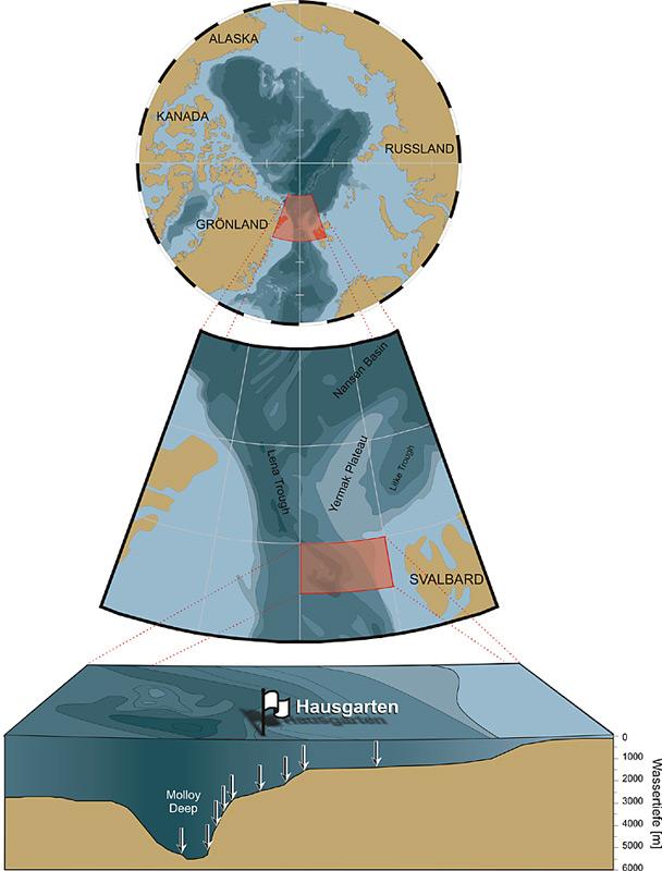 Der HAUSGARTEN besteht aus einem Netzwerk von 17 Stationen die Wassertiefen von 1000 bis 5500 m umfassen. Seit 1999 werden an diesen Stationen alljährlich in den Sommermonaten Probennahmen durchgeführt. Der ganzjährige Einsatz von Verankerungen und Freifallgeräten die als Observationsplattformen am Meeresboden dienen, ermöglicht die Erfassung saisonaler Variationen.