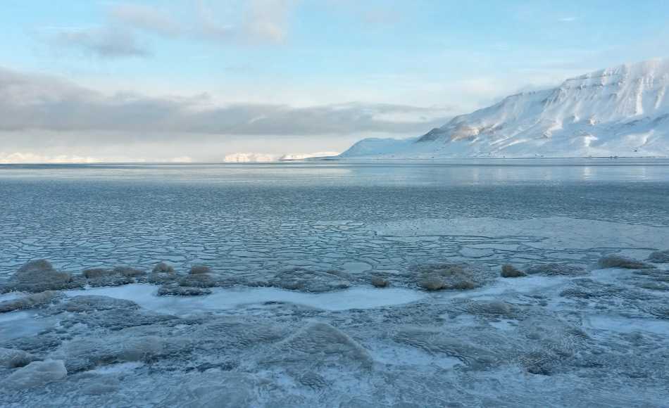 Die Fjorde in Svalbard und in vielen anderen Gebieten frieren normalerweise ab November zu. In diesem Winter aber sind weite Gebiete der Arktis sogar noch im Dezember eisfrei gewesen aufgrund hoher Wasser- und Lufttemperaturen und sÃ¼dlichen Winden. Bild: Michael Wenger